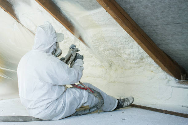 Best Insulation Replacement  in Ellenton, FL